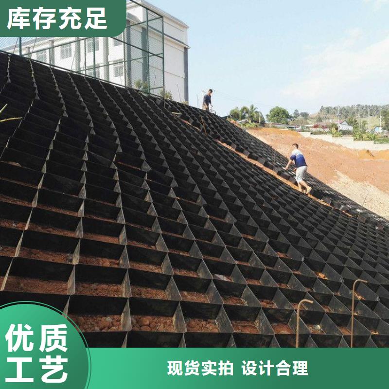 正规厂家<大广>堤坝防护用土工格室型号_规格